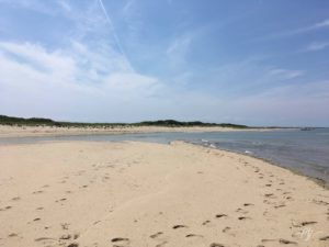 Long Point Beach - Ours, All Ours!