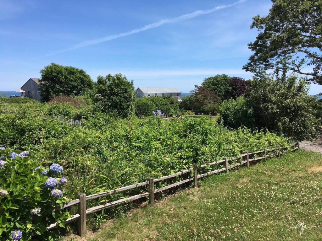 Walking around Cuttyhunk, MA