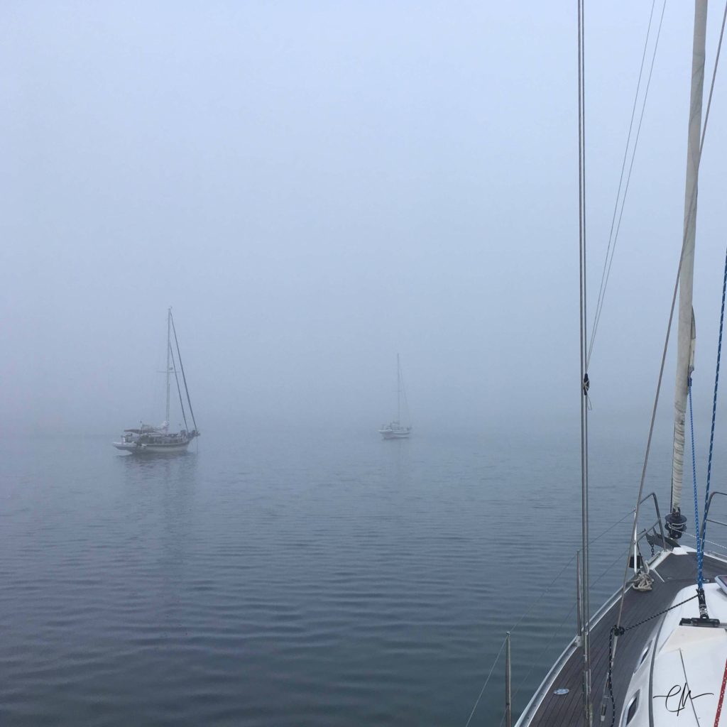 Foggy morning - Fishers Island, NY