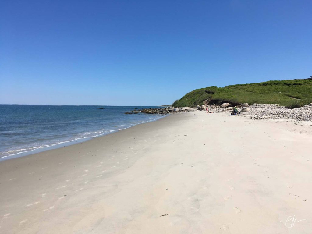 Beach was crowded today - 5 people!