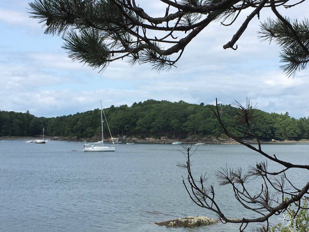 Rocinante at anchor in The Basin