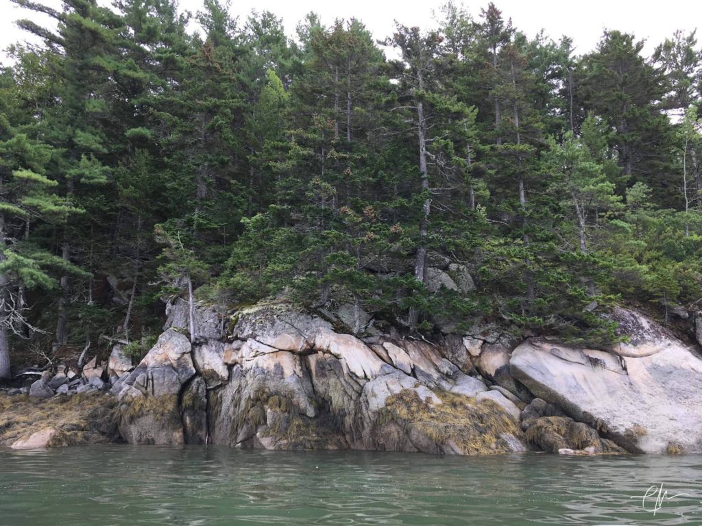 Exploring the shores of The Basin Preserve