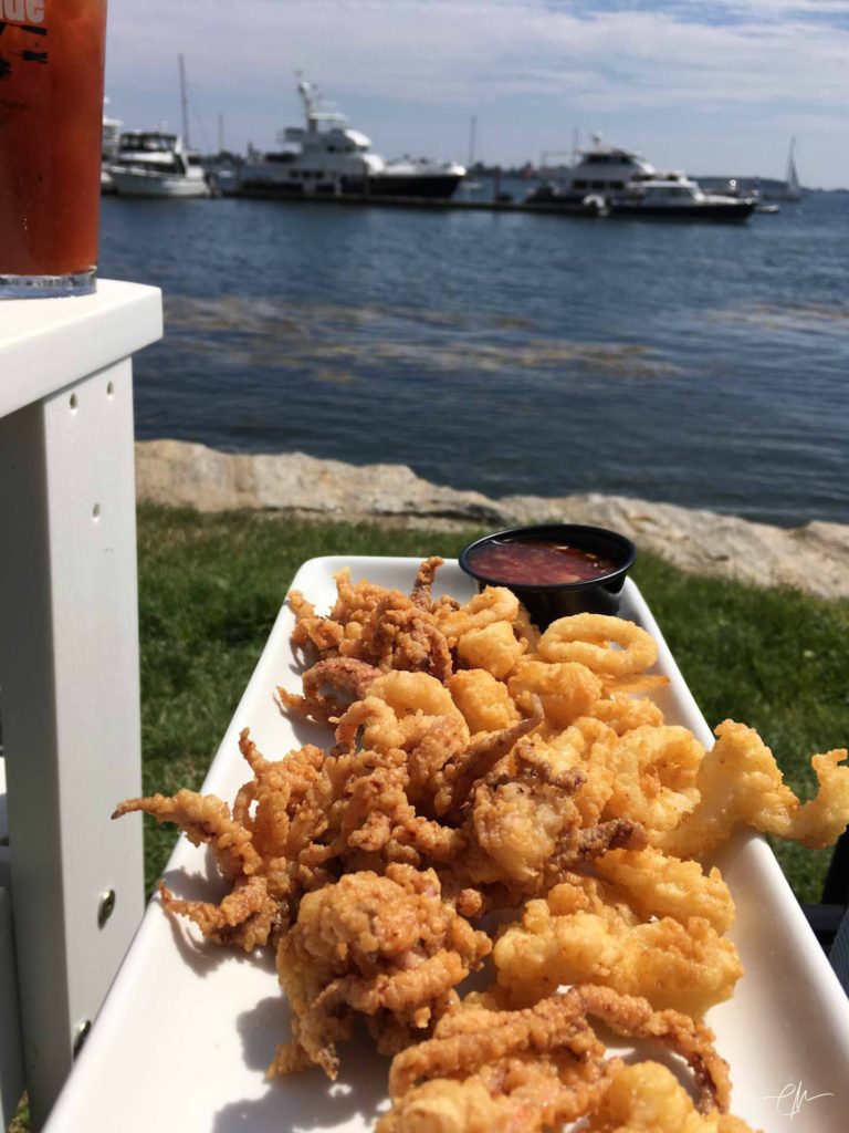 Fried Calamari from the Dolphin Marina Restaurant- enjoyed al fresco!