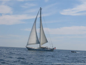 Sailboat we met along the way.