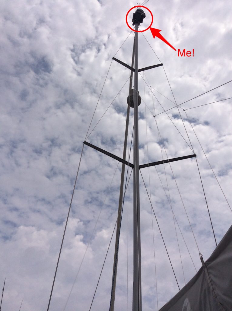 Me up the Rocinante's mast