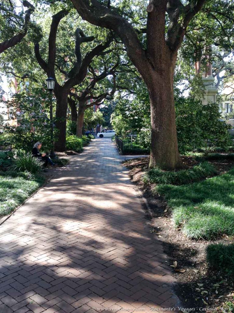 One of the many park squares in Savannah