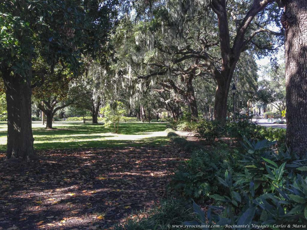 Forsyth Park's gorgeous moss-draped oaks