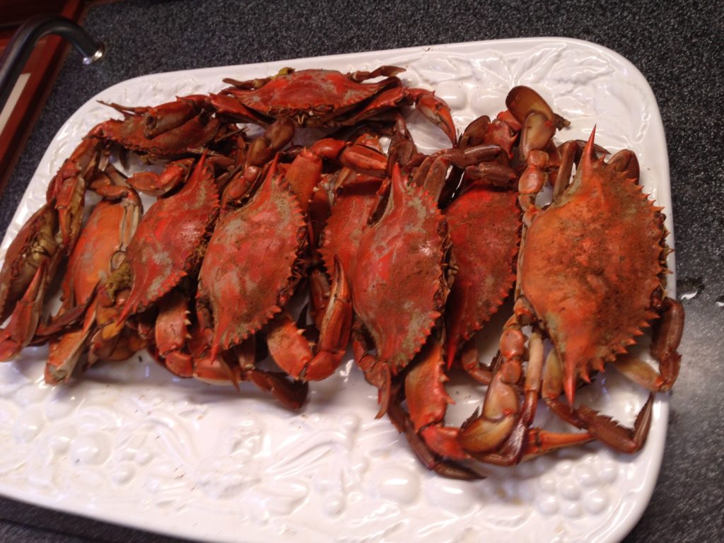 Steamed Maryland Crabs