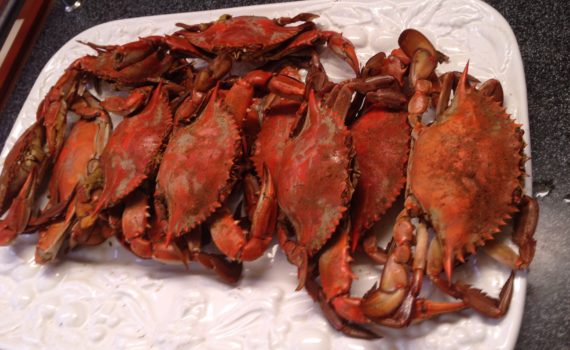 Steamed Maryland Crabs